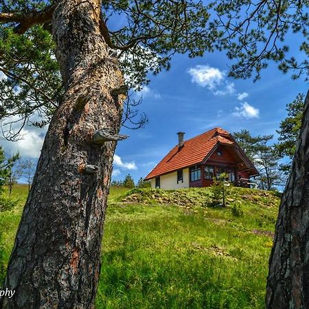 Cottage Vodice Златибор Екстер'єр фото